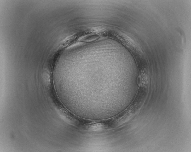 X0000116060456200912041857