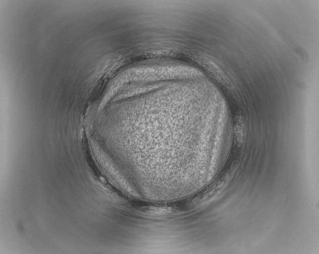 X0000116060458200912041857