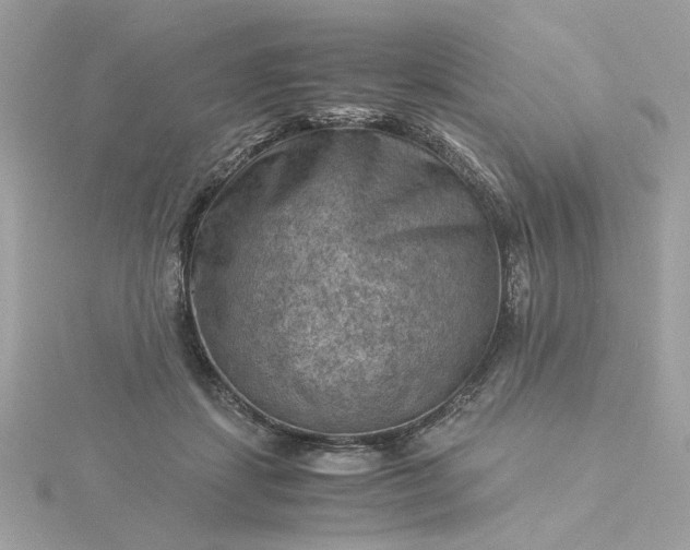 X0000116060459200912041857