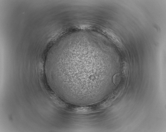 X0000116060461200912041857