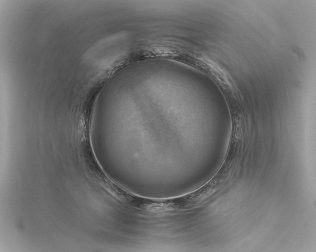 X0000116060465200912041857