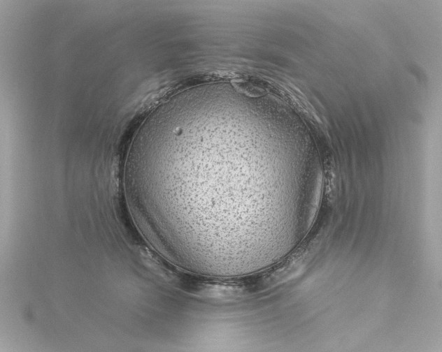 X0000116060466200912041857