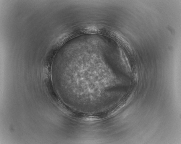 X0000116060467200912041857