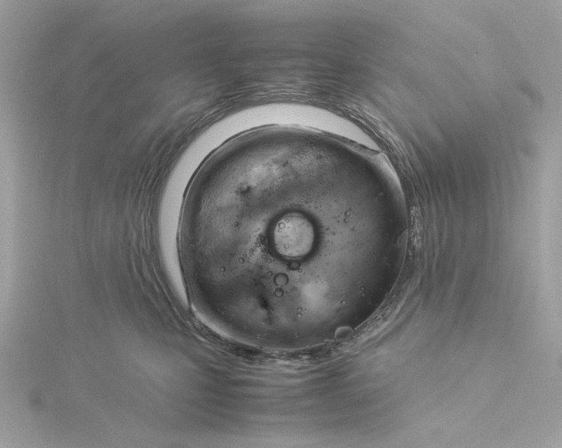 X0000116060471200912041857