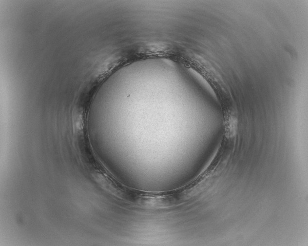 X0000116060472200912041857