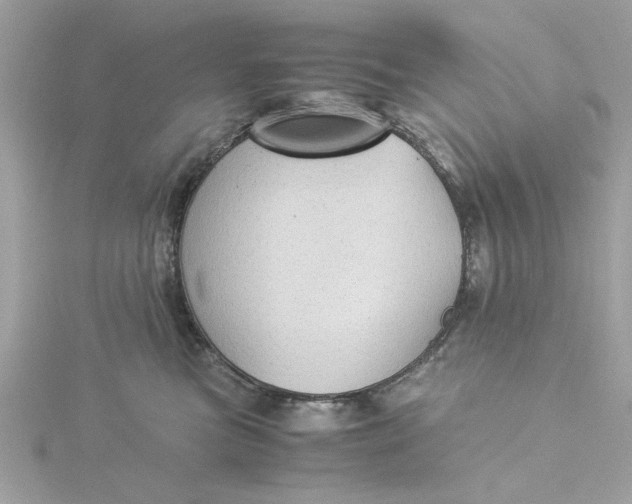 X0000116060473200912041857