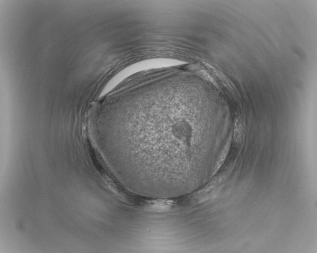 X0000116060474200912041858