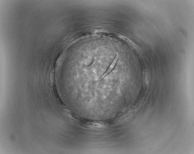 X0000116060475200912041858