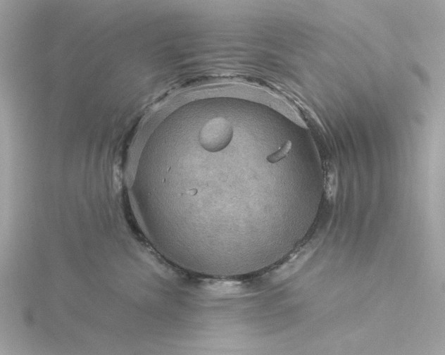 X0000116060476200912041858