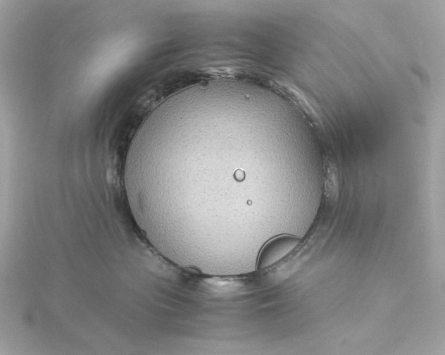 X0000116060477200912041858