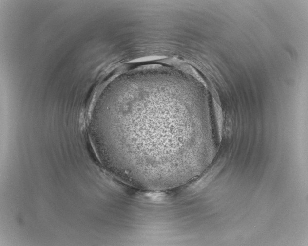 X0000116060478200912041858