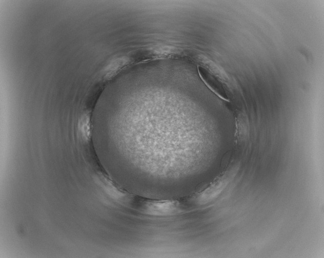 X0000116060479200912041858