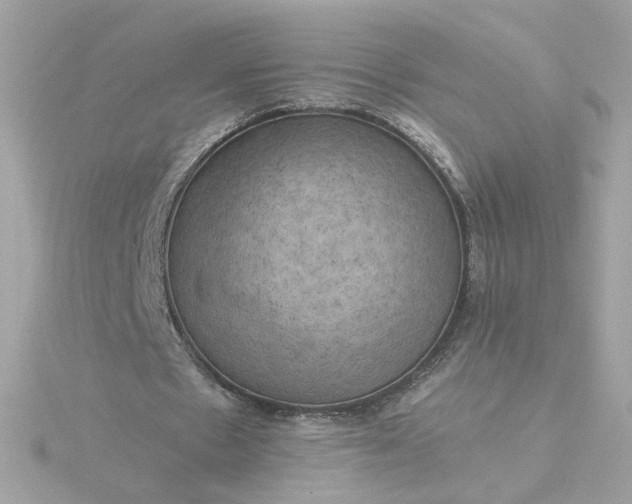 X0000116060481200912041857