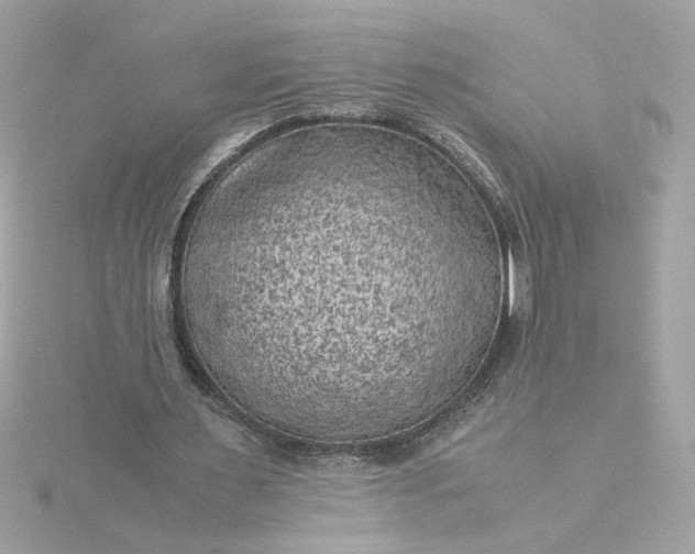 X0000116060483200912041857