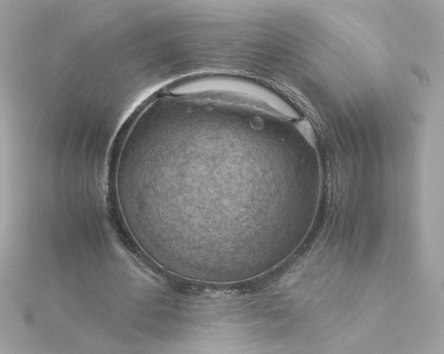 X0000116060484200912041857