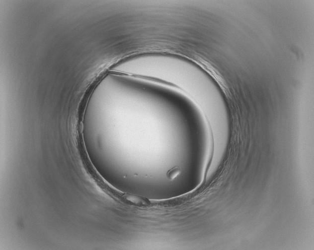 X0000116060485200912041857