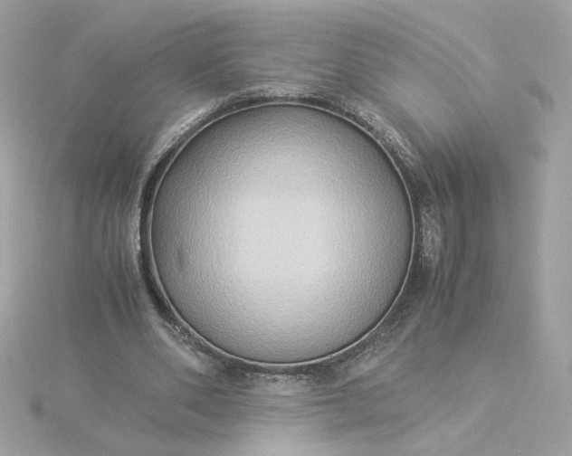 X0000116060486200912041857