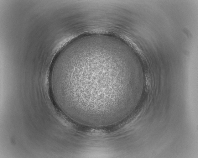 X0000116060487200912041857