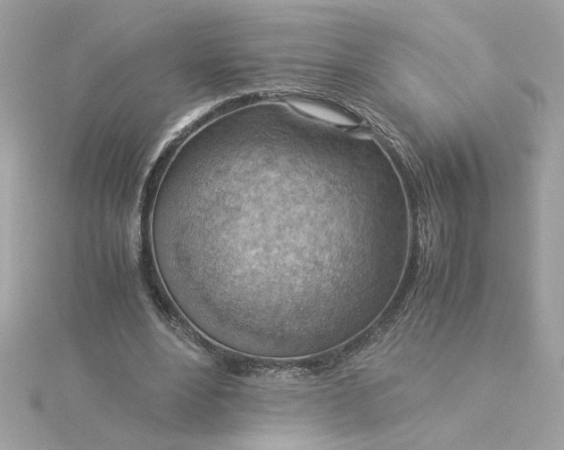 X0000116060488200912041857