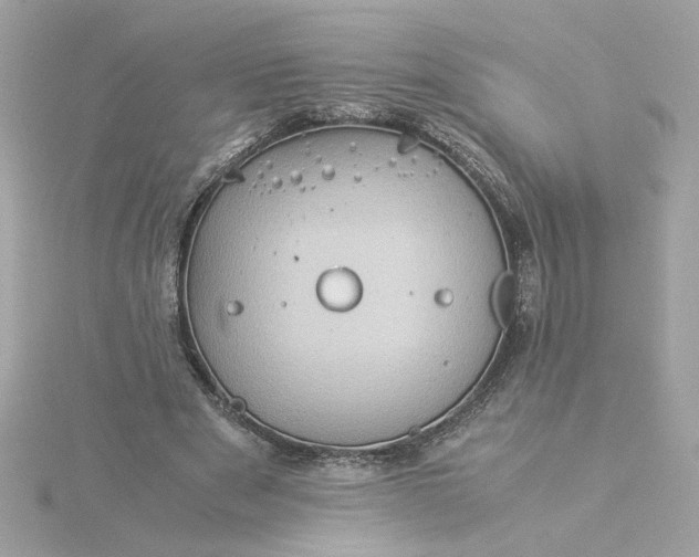 X0000116060489200912041857