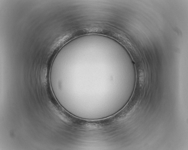 X0000116060490200912041857