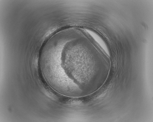 X0000116060491200912041857