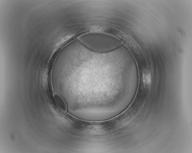 X0000116060492200912041857