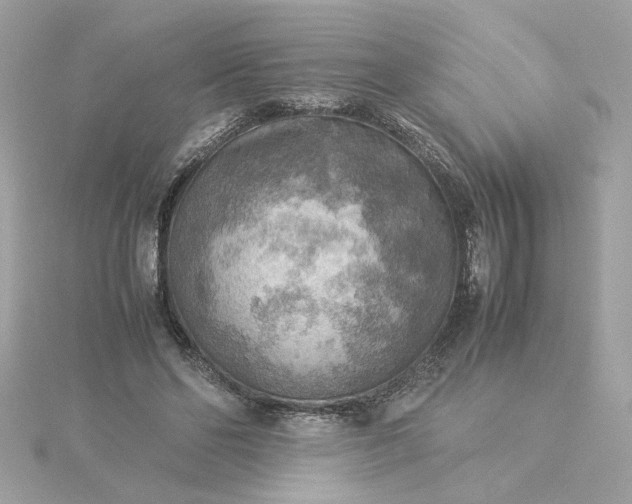 X0000116060494200912041857