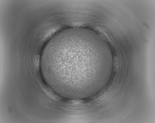 X0000116060495200912041857