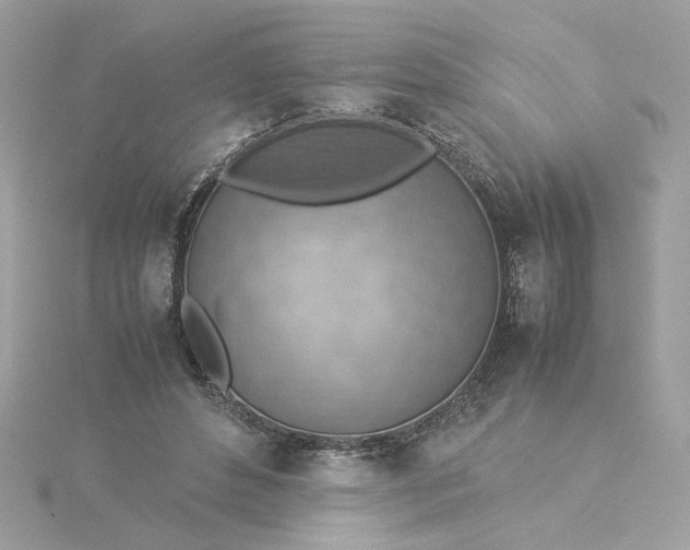 X0000116060496200912041857