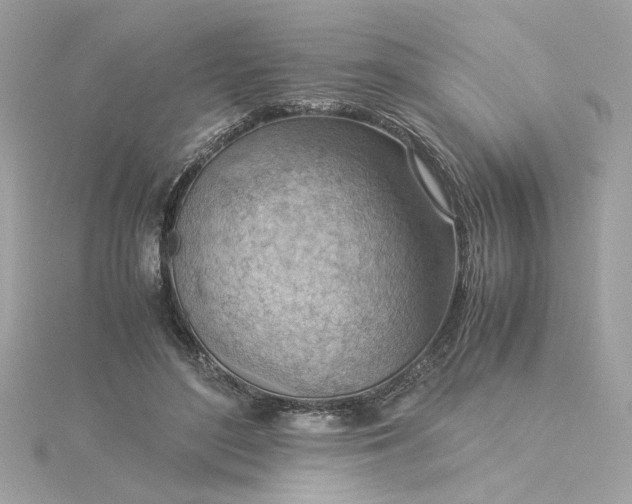 X0000116060500200912041857