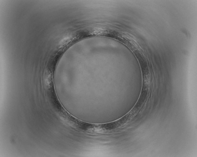 X0000116060503200912041857