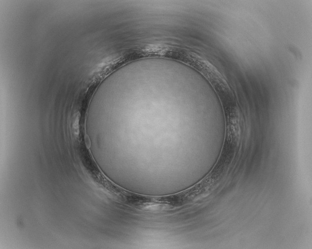 X0000116060504200912041857