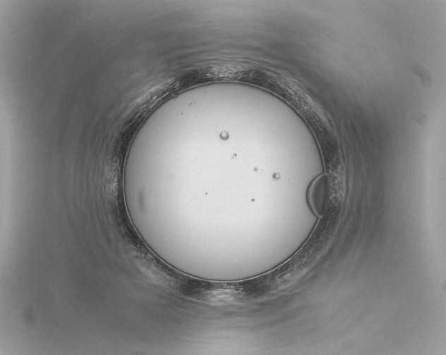 X0000116060505200912041857