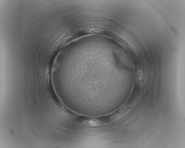 X0000116060506200912041857