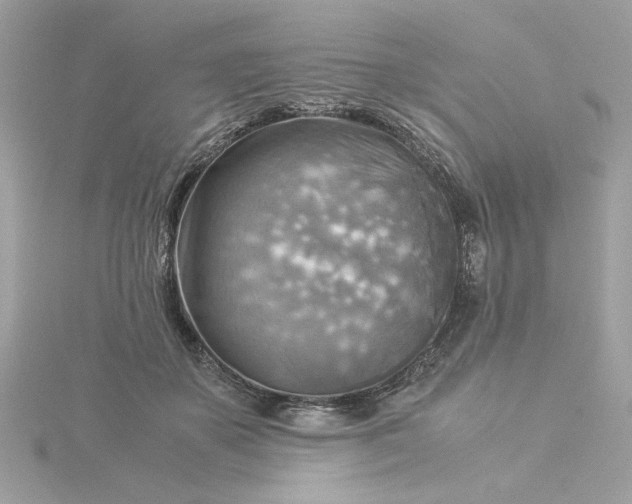 X0000116060507200912041857