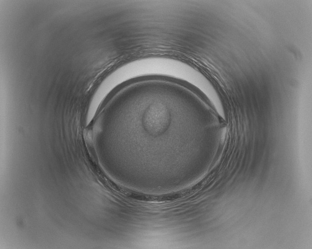 X0000116060508200912041857