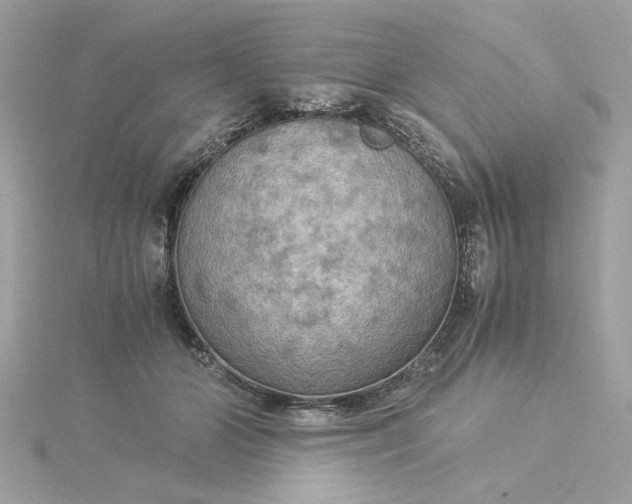 X0000116060510200912041857