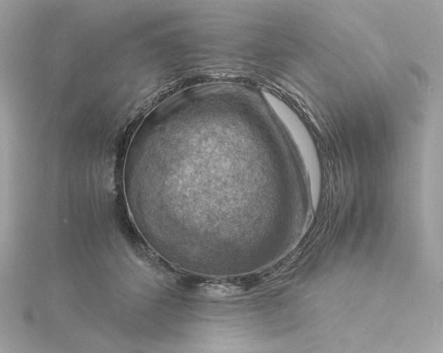 X0000116060512200912041857