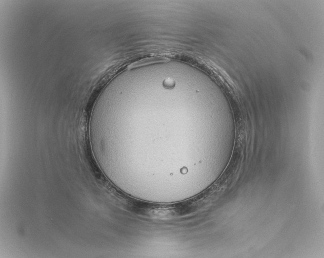 X0000116060513200912041857