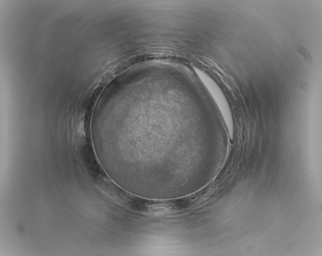 X0000116060516200912041857