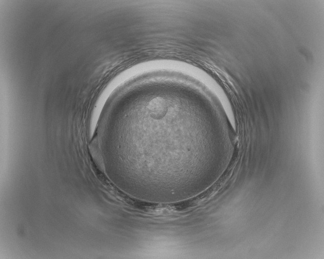 X0000116060517200912041857