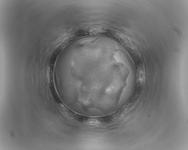 X0000116060519200912041856