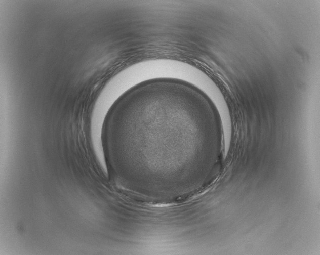 X0000116060520200912041856