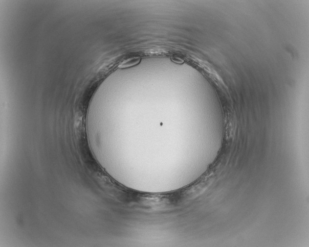 X0000116060521200912041856