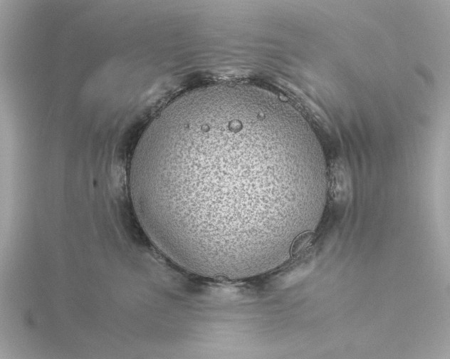 X0000116060523200912041856