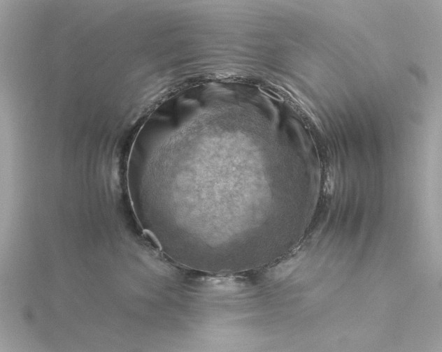 X0000116060524200912041856