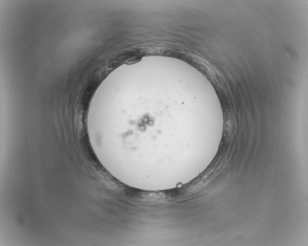 X0000116060525200912041856