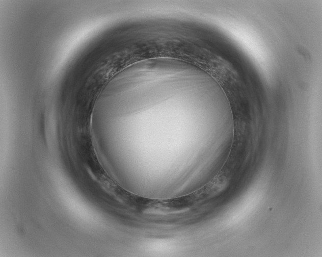 X0000116060526200912041856