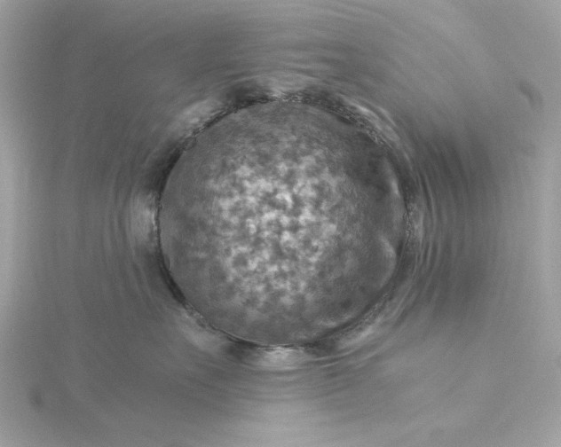 X0000116060527200912041856